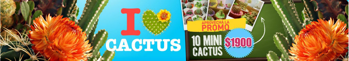 LoveCactus